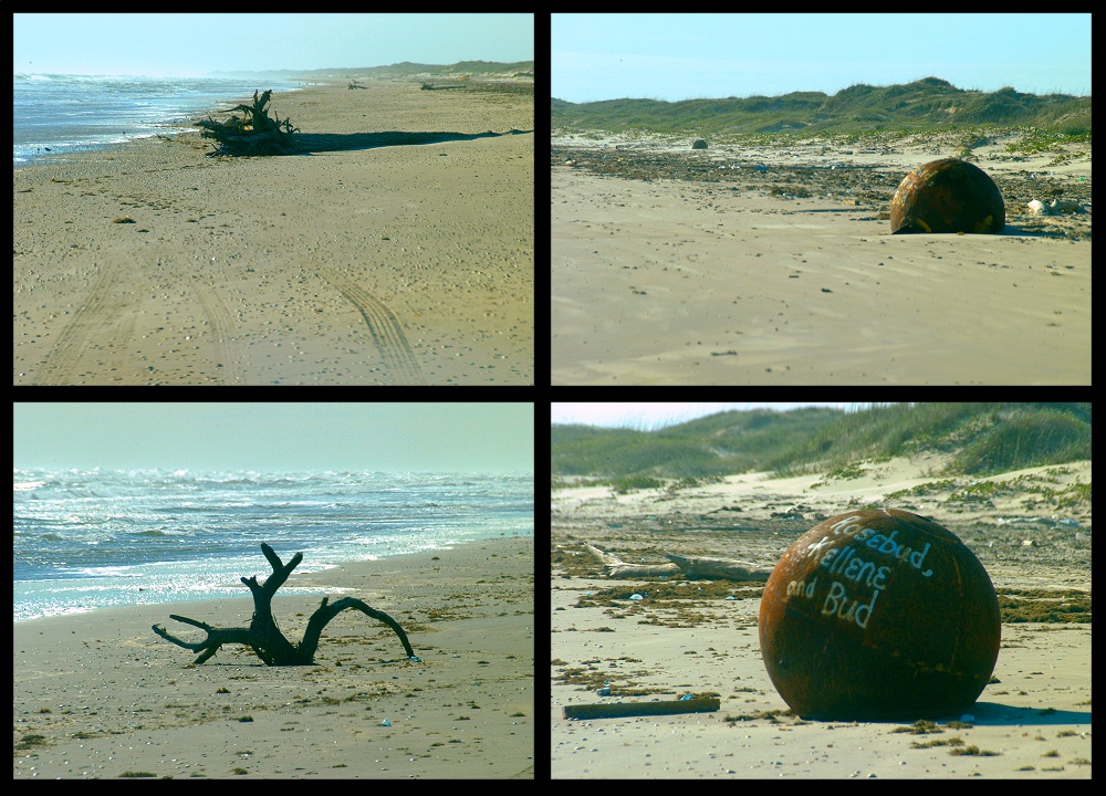 (02) beach trek montage.jpg   (1000x720)   343 Kb                                    Click to display next picture